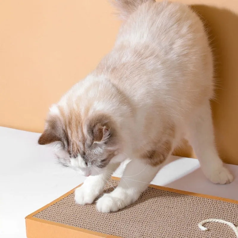 Tapis Anti-Griffures™ - Planche à Gratter pour Chat